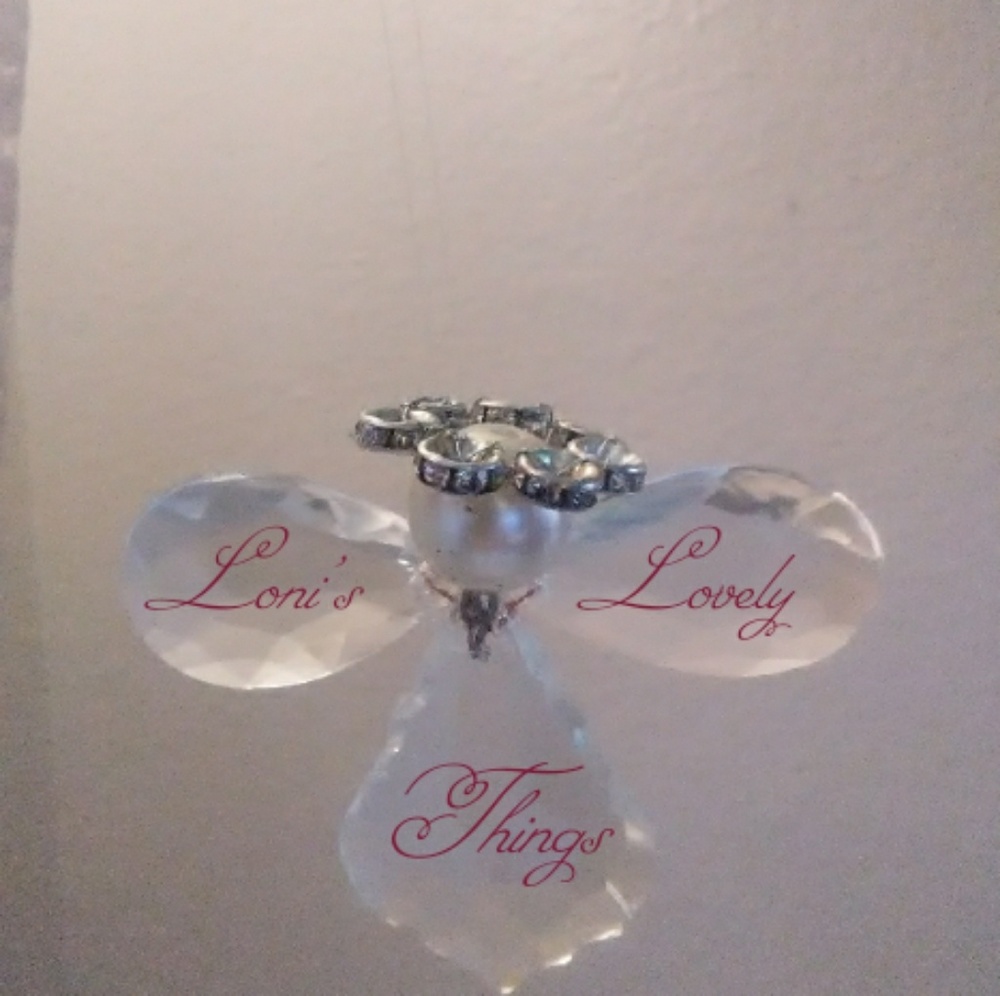 Meet your Posher, Lou Ellyn